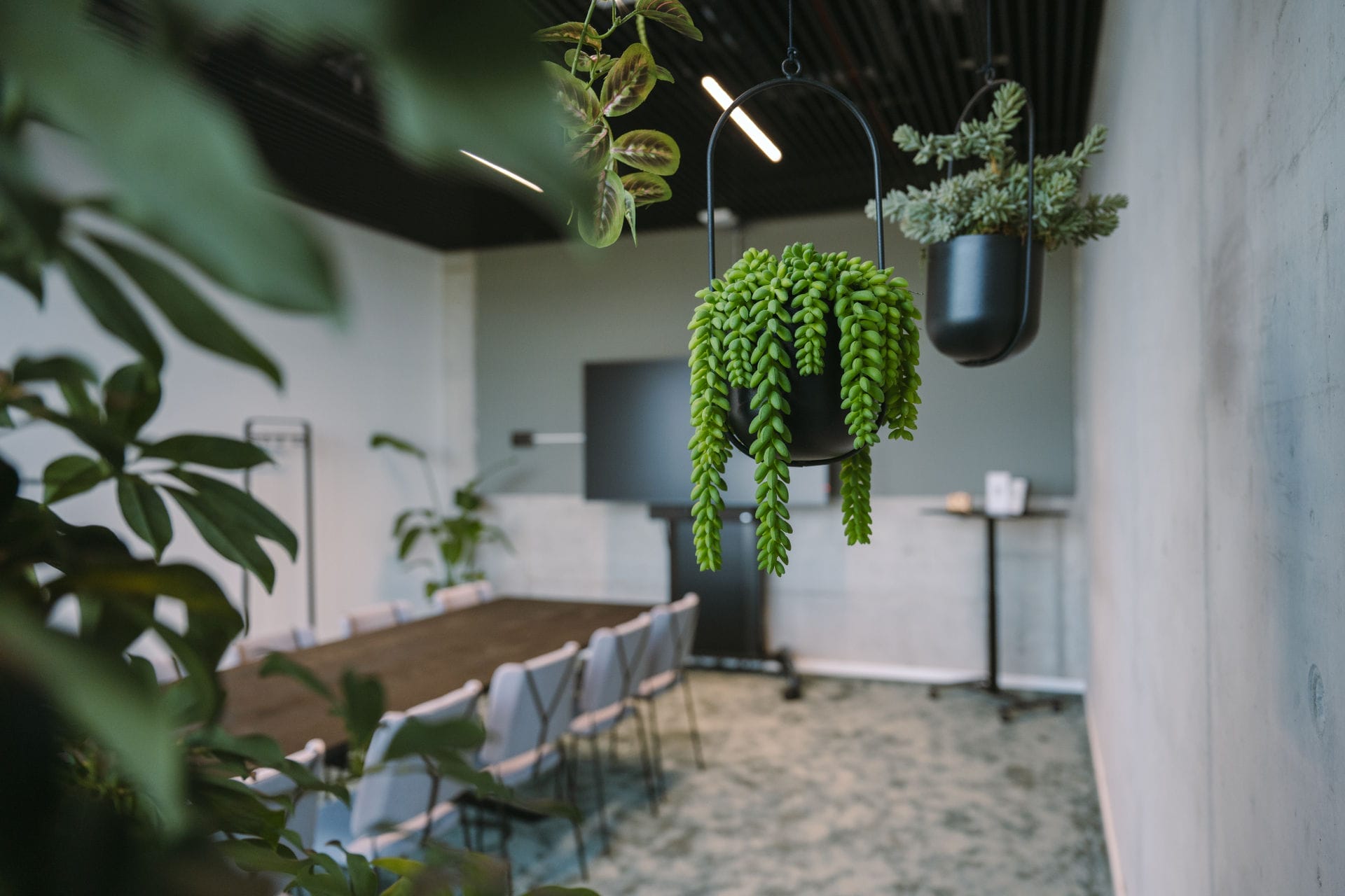 Private meeting rooms for all of your needs