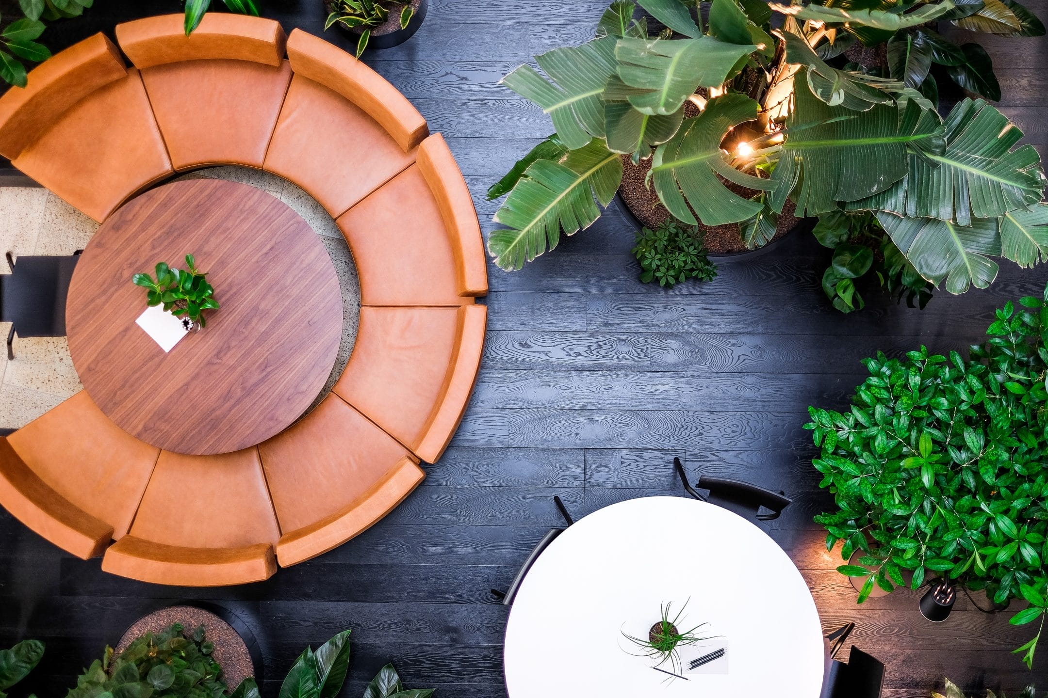 Greenery, coziness, professionalism, biophilia, coworking, workspaces, plants
