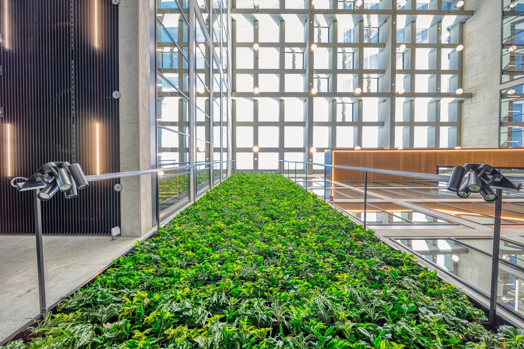 Plant wall with thousands of plants to decorate our biophilic building