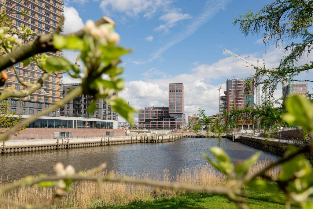 Blick auf die Elbe von den Büroräumen in der HafenCity, Hamburg.