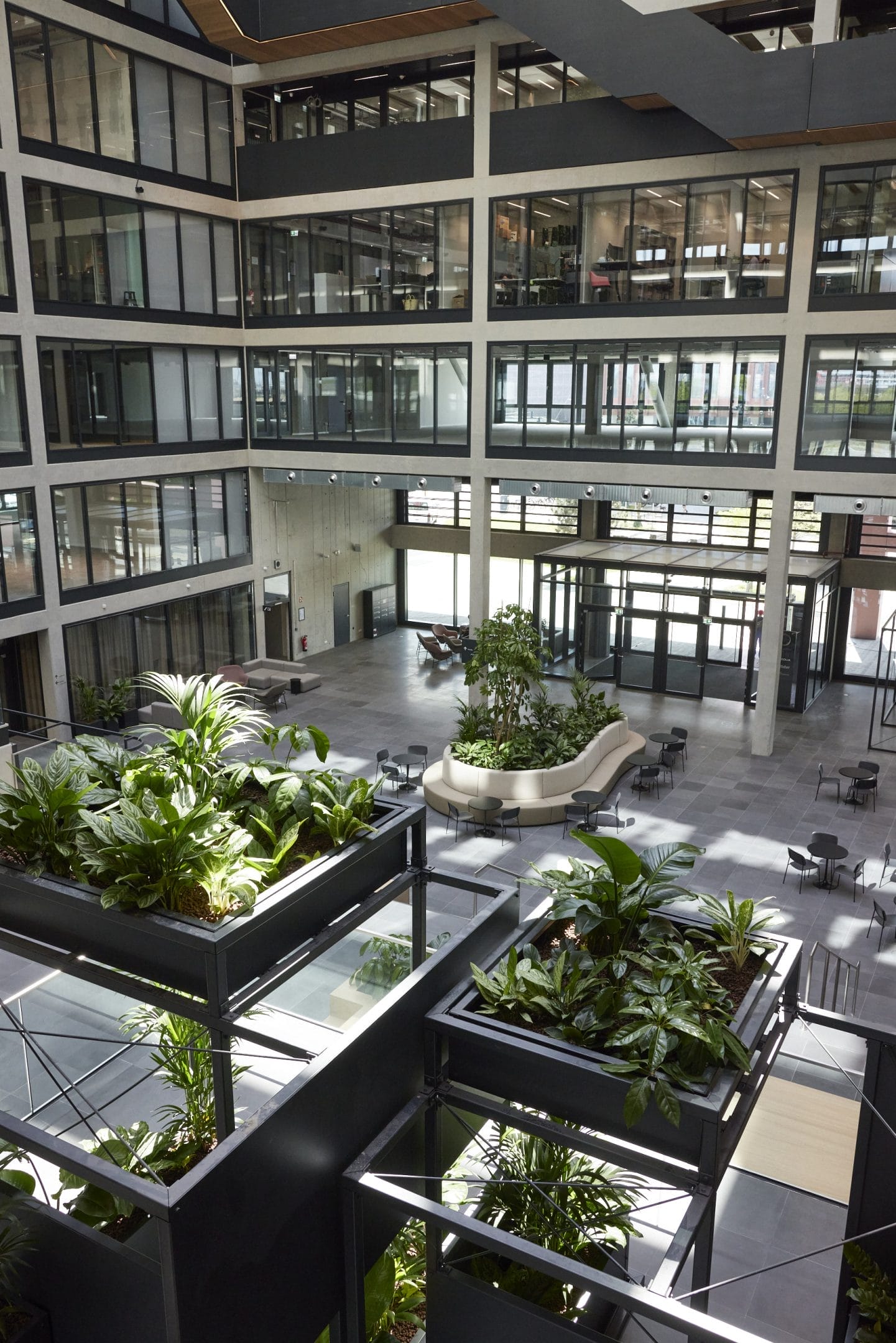 Die Innenräume der HafenCity sind biophil gestaltet, inspiriert vom industriellen Hafenstil Hamburgs.