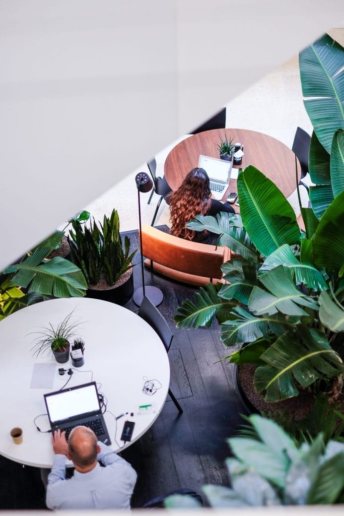 Memberships for coworking in a biophilic setting full of plants and relaxing colors based on natural materials to enhance concentration and networking