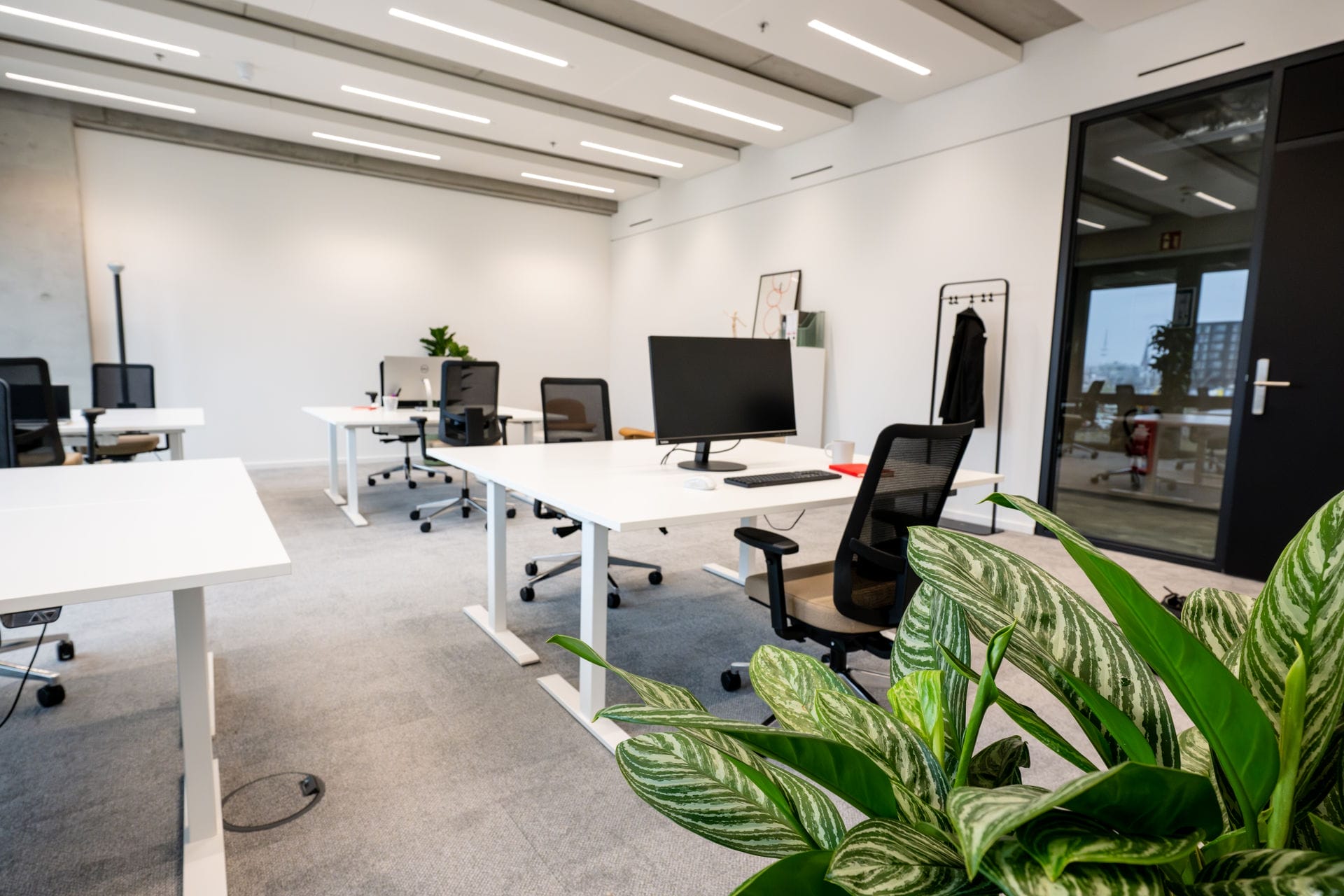 Our offices are flexible, which means you can move and decorate everythign as you want