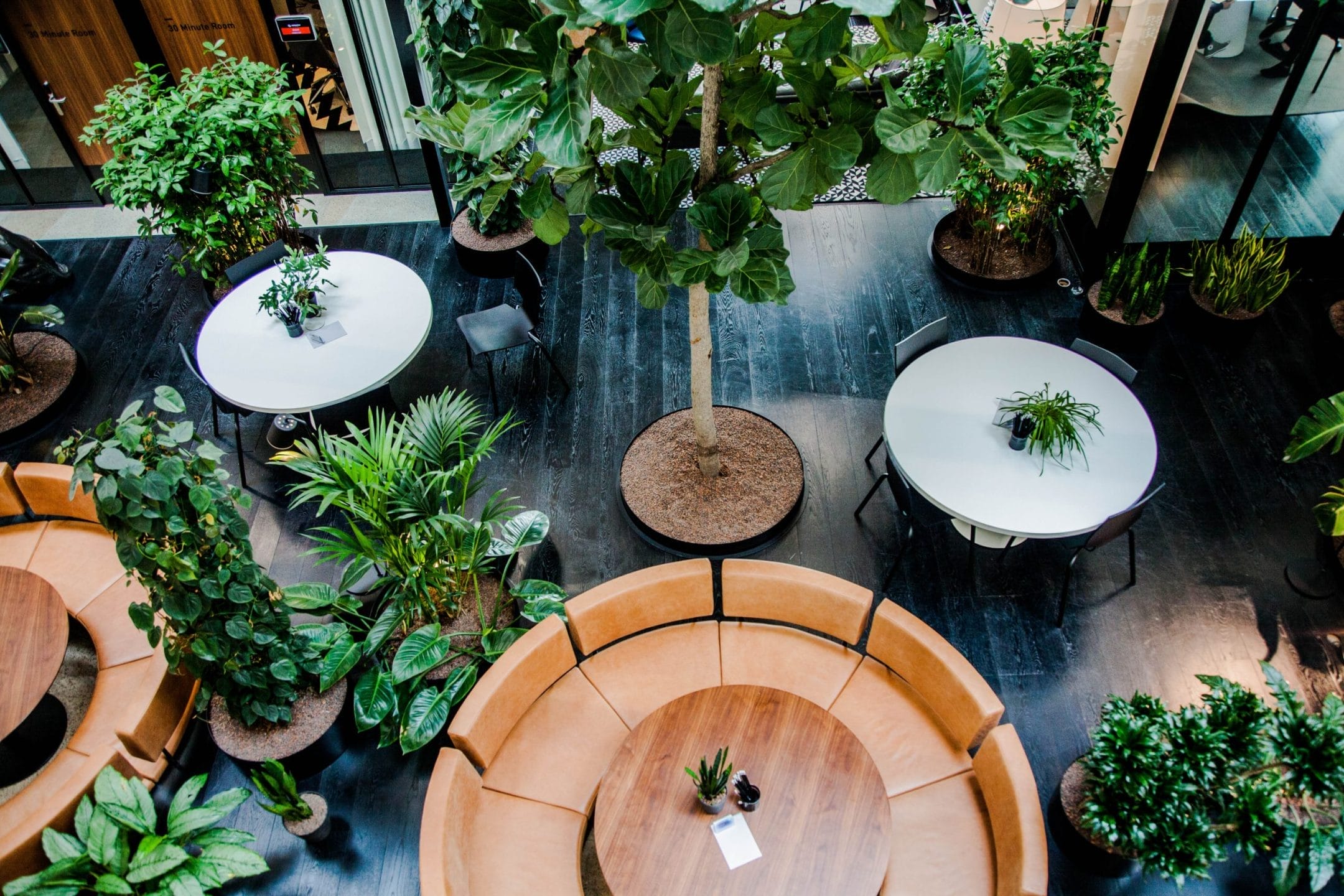 Aerial view of a modern indoor plaza featuring circular wooden seating, white tables, and lush green potted plants, creating a relaxing and natural atmosphere in innovative coworking environments. An image from EDGE Workspaces.