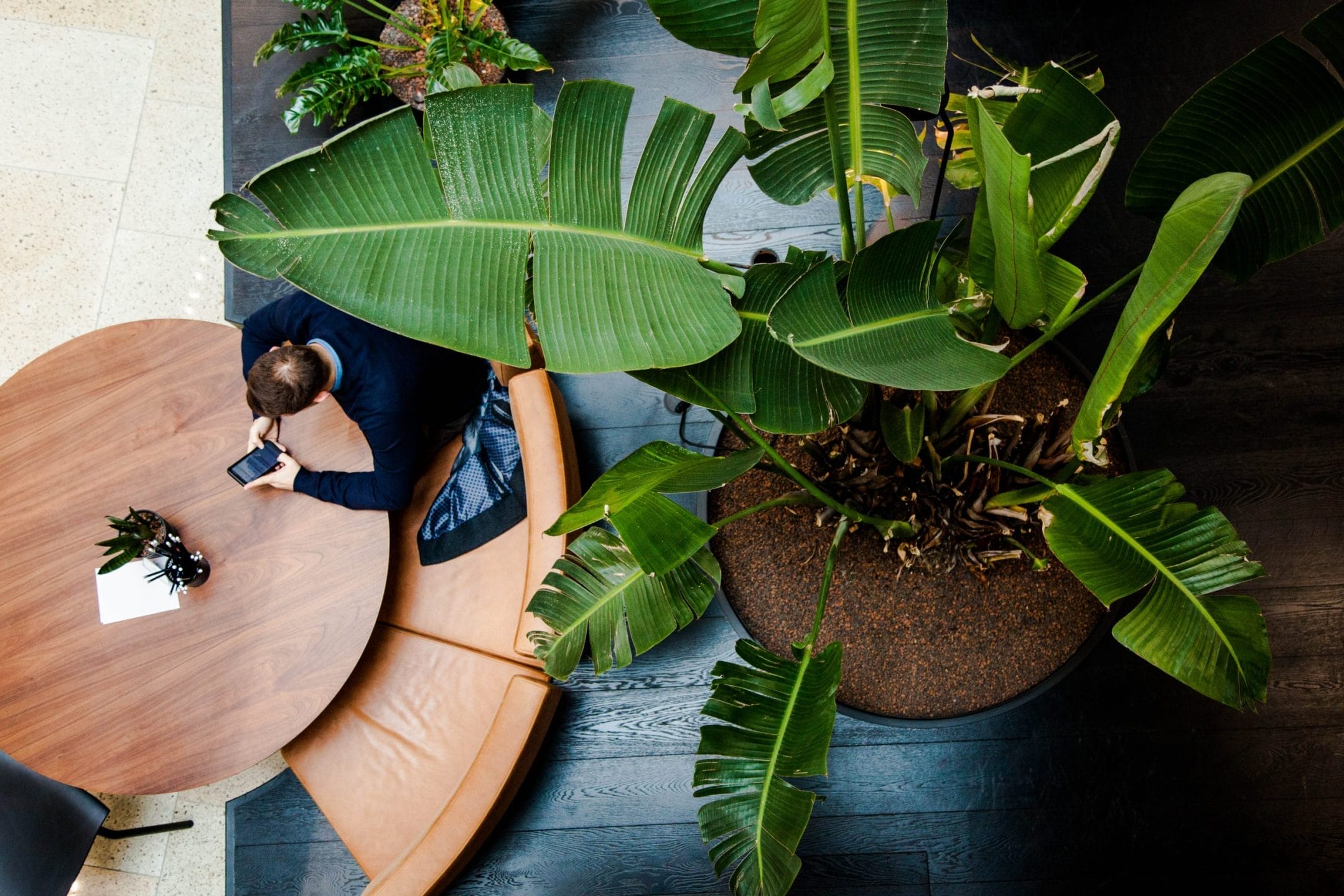 A person in a blue shirt sits at a circular wooden table in a modern coworking space, using a smartphone. The seating area features large, lush green potted plants, enhancing the sophisticated interior decor An image from EDGE Workspaces.