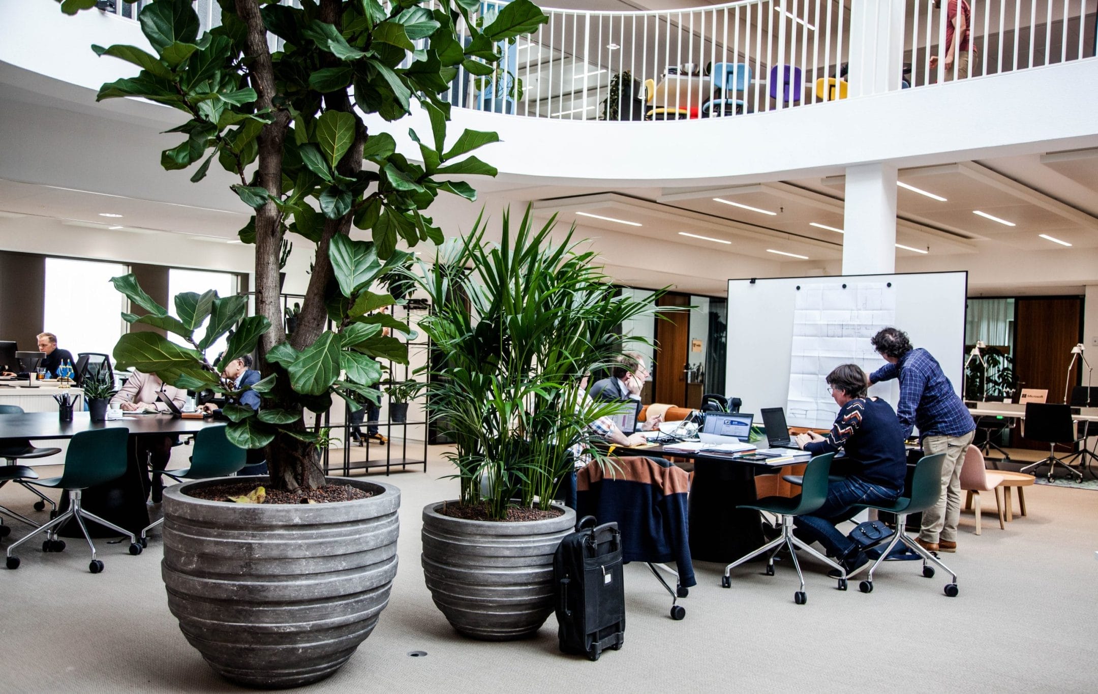 A modern office space with employees working at desks and discussing around a whiteboard. The room features large potted plants, a circular layout with a balcony, and natural lighting, embodying sustainable office solutions An image from EDGE Workspaces.