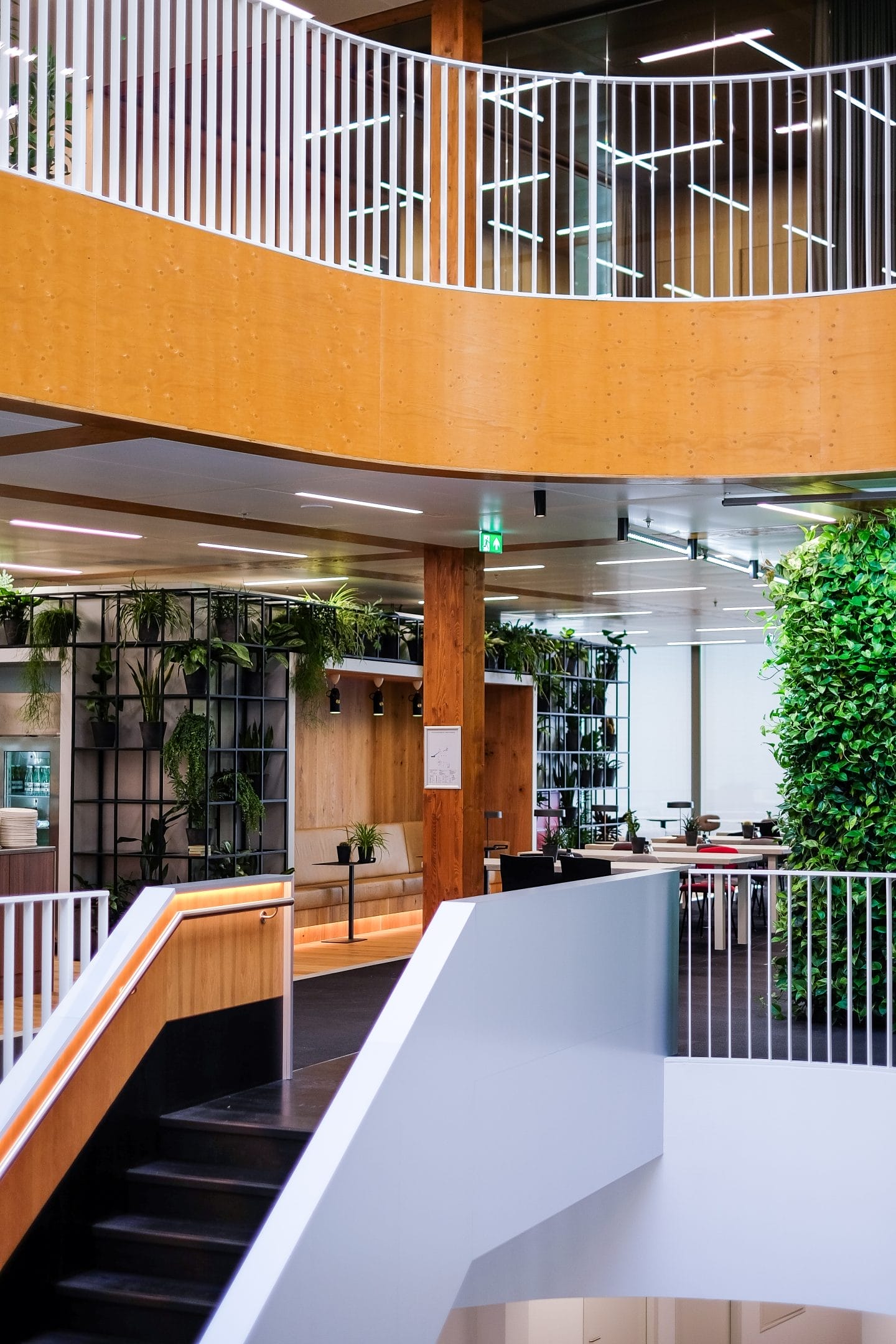 Modern office interior featuring sleek white stairs in the foreground leading to a curved wooden balcony. Lush green plants are distributed throughout, creating a fresh, vibrant ambiance beside clear glass partitions, perfectly suited for innovative An image from EDGE Workspaces.