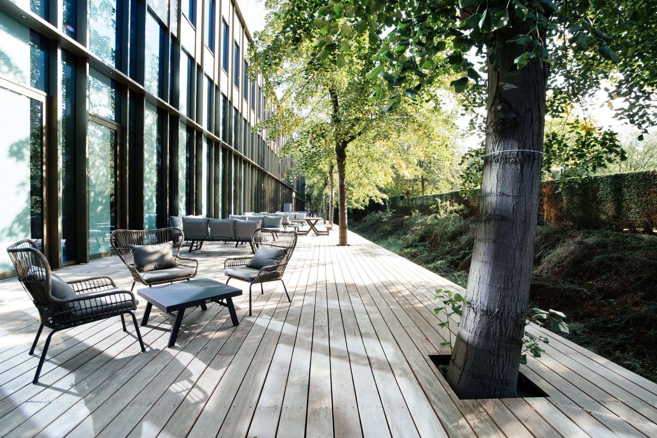 OLA_Terrace Ground Floor 1