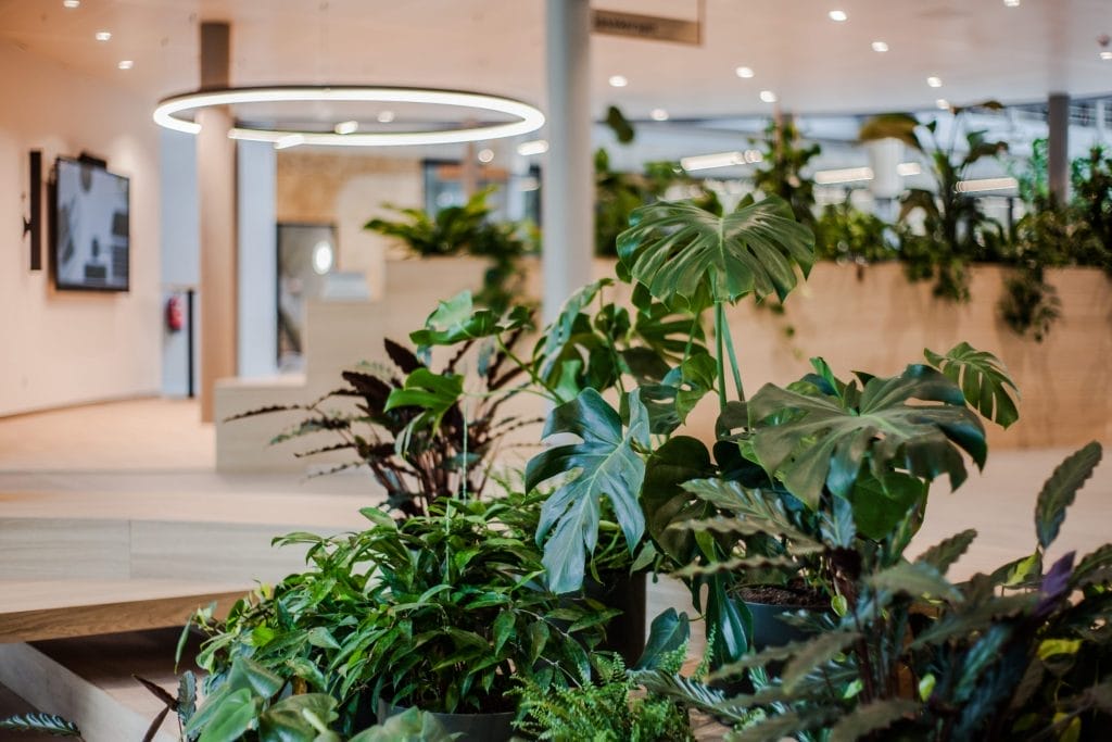 Futuristische Büroräume mit integrierten Wellness-Elementen wie grünen Wänden, natürlicher Beleuchtung und ergonomischen Möbeln, die die Zukunft der Arbeitsplatzgestaltung veranschaulichen.